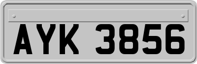 AYK3856