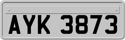 AYK3873