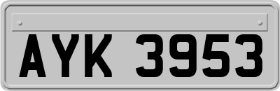 AYK3953