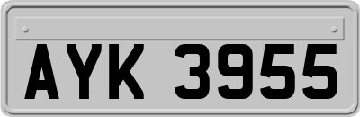 AYK3955