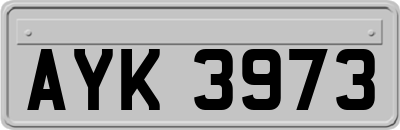 AYK3973