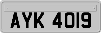 AYK4019