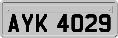 AYK4029