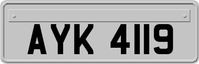 AYK4119