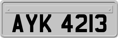 AYK4213