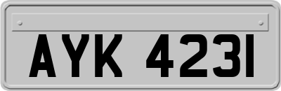 AYK4231