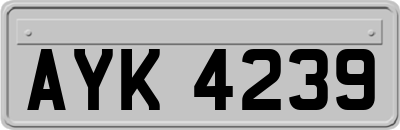 AYK4239