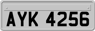 AYK4256