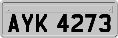 AYK4273