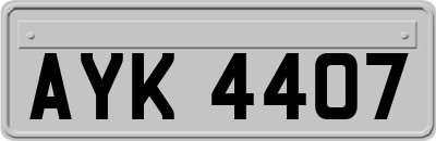 AYK4407