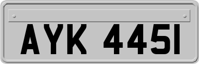 AYK4451