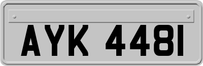AYK4481