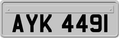 AYK4491