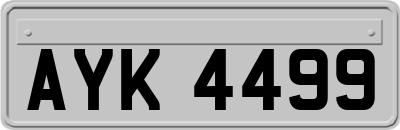 AYK4499