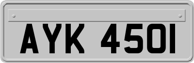 AYK4501
