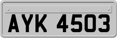 AYK4503