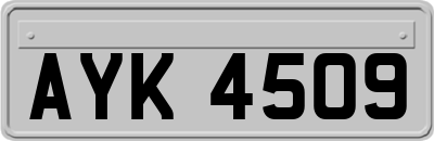 AYK4509