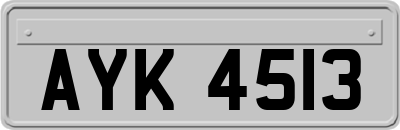 AYK4513