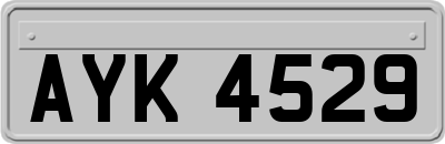 AYK4529
