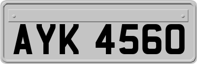 AYK4560