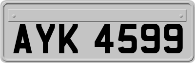 AYK4599