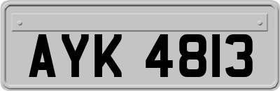 AYK4813