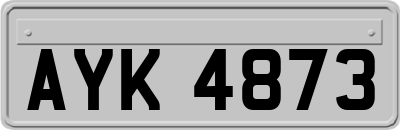 AYK4873