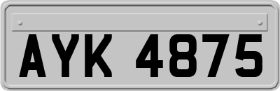 AYK4875