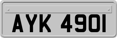 AYK4901