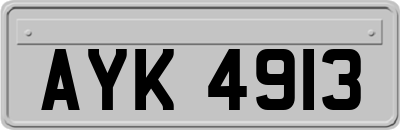 AYK4913