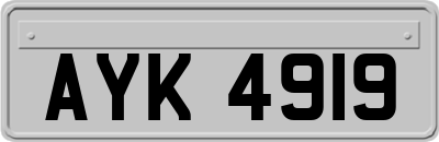 AYK4919