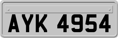 AYK4954