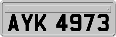 AYK4973