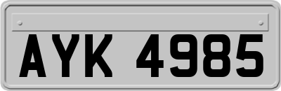 AYK4985