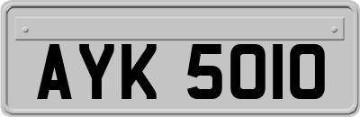 AYK5010