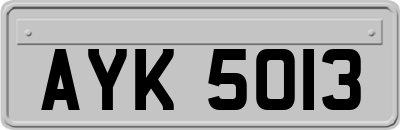 AYK5013