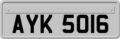 AYK5016