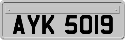 AYK5019