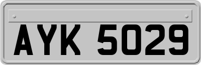 AYK5029