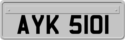 AYK5101