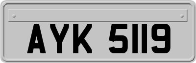 AYK5119