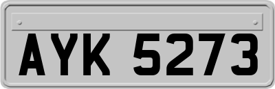 AYK5273
