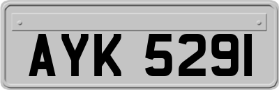 AYK5291