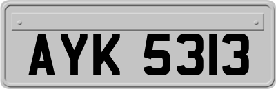 AYK5313