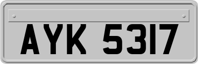 AYK5317