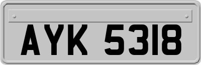 AYK5318
