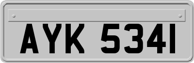 AYK5341