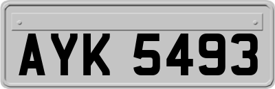 AYK5493
