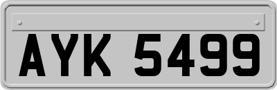 AYK5499