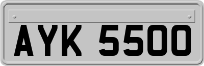 AYK5500